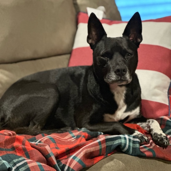 Meet your Posher, Gina - Picture 4 of 11